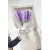 Hoa lavender len
